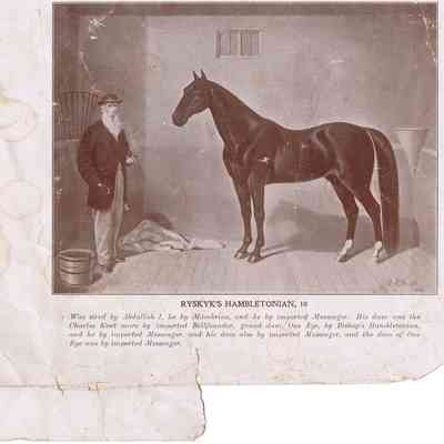 Ryskyk's Hambletonian, 10 - remnant book cover