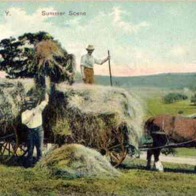 Chester N. Y. Summer Scene