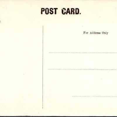CHS-019975-1 Back