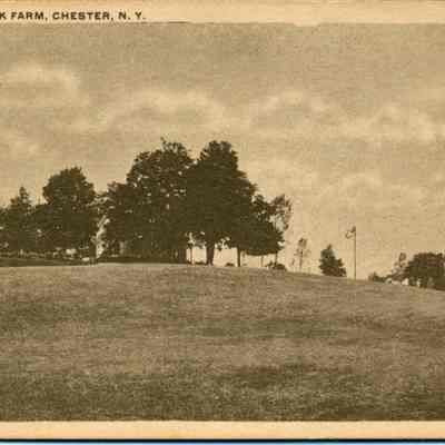 Scene at Brook Farm, Chester, N. Y.