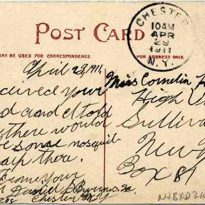Address side of the "Coupe, John, Dick & Charley, Chester, N. Y." postcard.: The image shows the back of an old postcard dated April 29, 1911, postmarked in Chester, New York. The postcard features David Burrow Jr.'s cursive handwriting, addressed to Miss Cornelia Hasbrouck in High View, Sullivan County, New York, with a one-cent stamp and messages discussing personal experiences and local events.