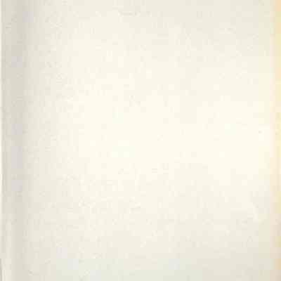 03 inner leaf (blank).