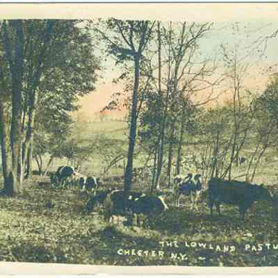 The Lowland Pasture, Chester, N. Y.