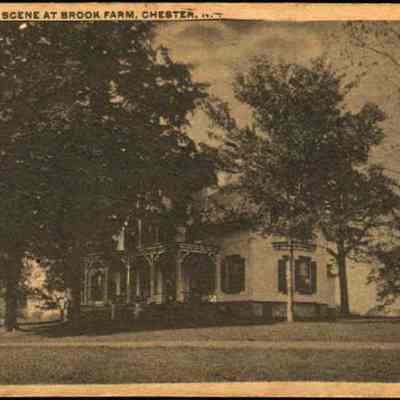 Residence and scene at Brook Farm, Chester, N. Y.