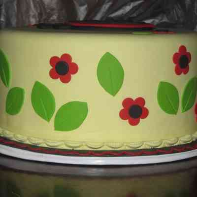 Satin Fine Foods “Ladybug” Fondant example - view 5