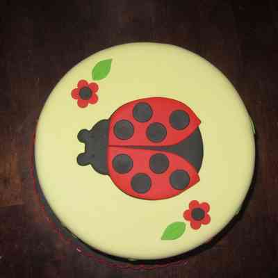Satin Fine Foods “Ladybug” Fondant example - top view
