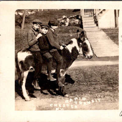 Click on image to open album: The vintage photograph shows three young boys sitting closely together on a donkey in an outdoor setting, with a background that includes a grassy area, steps leading to a house, and some trees and rocks. The donkey, spotted with dark and white patches, stands on the path, appearing calm and still as the boys, dressed in period attire including caps and boots, balance on its back. Beside the image, there is a handwritten note addressed to "Aunt Nellie," mentioning their safe arrival and asking someone named Harvey to met them at the train, and is signed "Yours truly, Ruth Gray” in neat penmanship. The words “RAPID TRANSIT CHESTER N.Y.” are inscribed at the bottom, indicating the location or perhaps a humorous reference to their unusual mode of transportation. This image, likely from the early 20th century, evokes a sense of nostalgia and portrays a charming, quaint scene of rural life and youthful adventure.