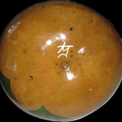 Wren House - bottom: The bottom of the decorated round brown wren nest gourd with a white character inscribed on its glossy surface.