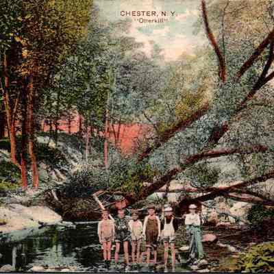 Ann and Gene White Postcard Collection - Otterkill