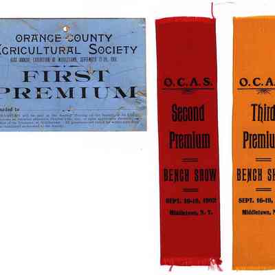 Three Orange County Fair Premium Award: Displayed are awards from a 1901-1902 Orange County Agricultural Society event in Middletown, New York.