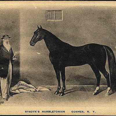 Rysdyk's Hambletonian, Goshen, N. Y.