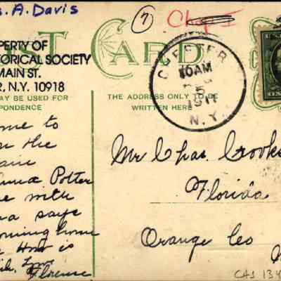 Address side of the "Chester National Bank, Chester, N. Y." postcard.: The image shows a historical postcard with handwriting that reads, "Will be home to morrow on the noon train maybe Anna Potter will come with me. Edna says she is coming home.  How is John & Lick, Love Florence" It is marked "Donated by Mrs. A. Davis" and property of "Chester Historical Society." The postcard has a green one-cent stamp featuring George Washington on it and was postmarked in Chester, NY.