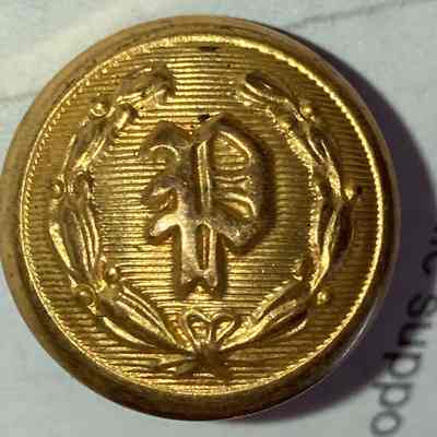"P" Brass Button