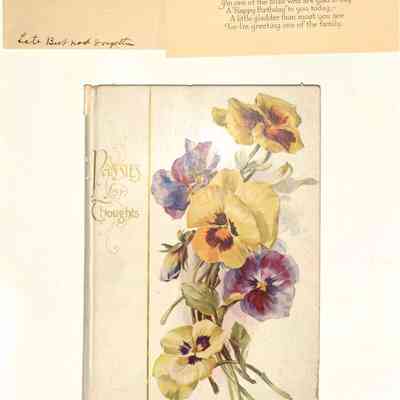 Pansies for Thoughts with birthday card from Mary Louise
