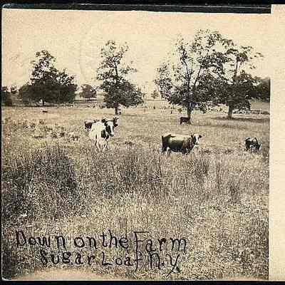 Down on the Farm, Sugar Loaf N. Y.