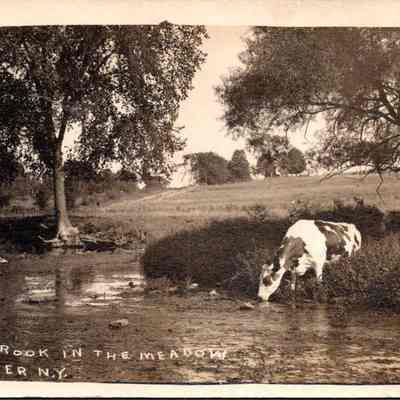 “The Brook in the Meadow Chester, N.Y.” Front chs-019950-3: The image captures a serene pastoral scene titled "The Brook in the Meadow, Chester, N.Y." It depicts a cow drinking from a gentle stream framed by lush trees and grassy slopes. The peacefulness of the meadow is accentuated by the soft light and natural setting. In the background, there's an expansive field with more trees and possibly additional distant figures that blend into the rural landscape. The rustic beauty of the scene is typical of early 20th-century black and white photography, embracing a moment of tranquility in nature.