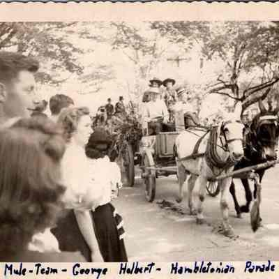 Mule-Team-George Holbert - Hambletonian Parade - 1949: A black and white photo with George Holbert's mule-drawn wagon with spectators watching on both sides of the road.