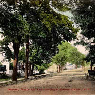 “Academy Avenue and Road reading to Goshen, Chester, N.Y.” Front: The image captures a serene, tree-lined street view of Academy Avenue and the road leading to Goshen in Chester, New York. It depicts a tranquil residential area from an earlier era, with lush, overhanging trees that create a shaded canopy over the road. On the left, there is a row of houses with characteristic front porches, typical of small-town American architecture from the late 19th to early 20th century. A lone horse-drawn carriage is visible on the right side of the dirt road, adding a historic charm to the scene. The overall ambiance reflects a peaceful, slow-paced lifestyle, unmarred by the hustle and bustle of modern city life. This postcard-like portrayal is likely colored by hand, enhancing its picturesque quality and giving it a nostalgic appeal. The soft, dappled light filtering through the trees casts gentle shadows on the road, inviting the viewer to imagine a stroll through this quaint neighborhood.