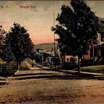 “Chester, N.Y. Maple Ave” Front: The image depicts a tranquil, sunlit scene on Maple Avenue in Chester, New York, showcasing a serene, tree-lined residential street. Glimpses of homes and a church with a spire are visible in the distance, suggesting a small, closely-knit community. The foreground features an unpaved road bordered by wooden sidewalks and grassy patches, adding to the quaint, historical ambiance of the town. A fading color palette gives the postcard an aged, nostalgic feel, complemented by the postmark and caption "Publishing Works, New York City. Made in Germany," situating the image in an earlier era, likely in the early 20th century.