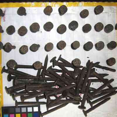 Collection of 83 RR Dating Nails