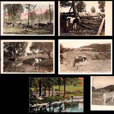 Ann and Gene White Postcard Collection - Dairy Farms