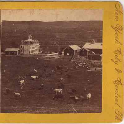 Woodhull's Dairy