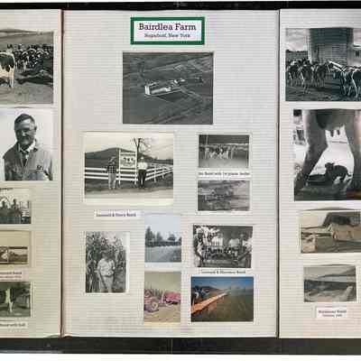 Compilation of photos at Bairdlea Farm, Chester, NY