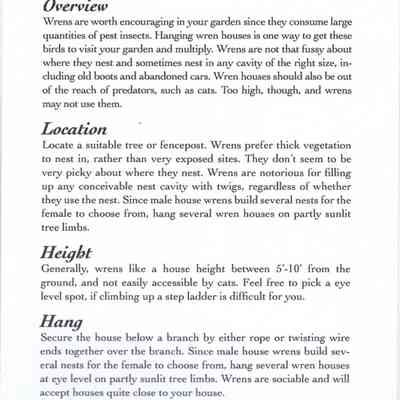 Wren House info card - back: The image provides guidance on attracting wrens using houses hung at specific heights.