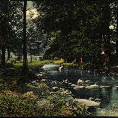 Along the Brook, Chester, N. Y.