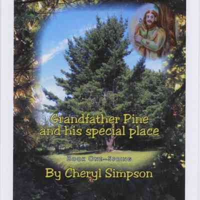 Grandfather Pine and His Special Place postcard