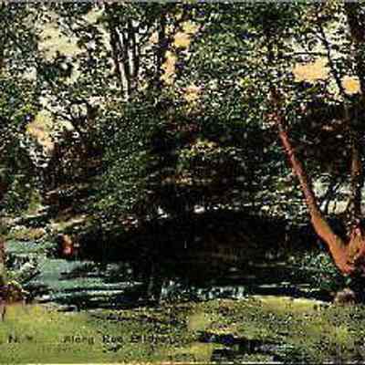 Along Red Bridge Creek