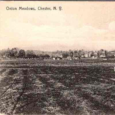 Onion Meadows, Chester, N.Y.
