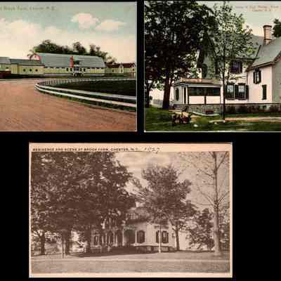 Ann and Gene White Postcard Collection - Brook Farm Chester NY