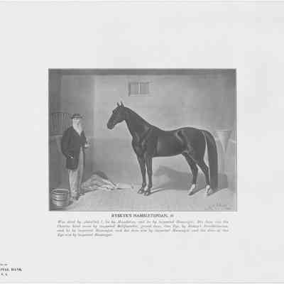 Ryskyk’s Hambletonian, 10
