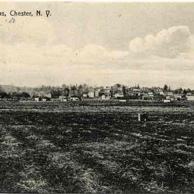 Onion Meadows, Chester, N. Y.