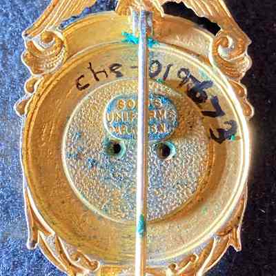 Village of Chester Trustee Badge reverse.: The image shows a vintage gold badge with an eagle and a pin mechanism on the back.