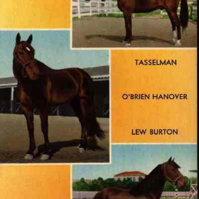 Tasselman, O’Brien Hanover, Lew Burton