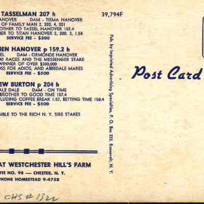 Address side of the "Tasselman, O’Brien Hanover, Lew Burton" postcard.: The image shows a vintage postcard advertising stallions at Westchester Hill's Farm in Chester, N.Y., highlighting horses such as Tasselman, O'Brien Hanover, and Lew Burton, each listed with pedigree details and a service fee of $500. The postcard also indicates that foals are eligible for the Rich N. Y. Sire Stakes, and it features a designated space for a stamp on the top right corner, labeled "Place Stamp Here."