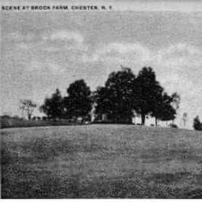 Scene at Brook Farm, Chester, N.Y.