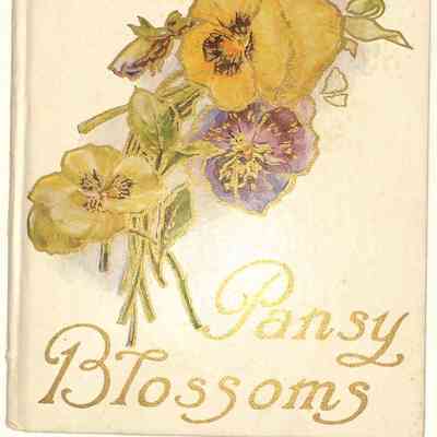 Jane Durland Sean's Pansy Blossoms