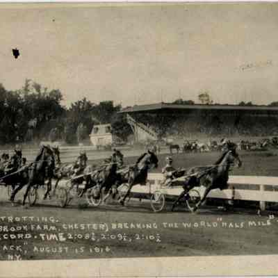 2:12 Class Trotting