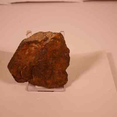 Tritobita (pygidium)