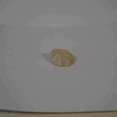 Echinoderm Fossil