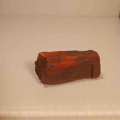 Petrified wood