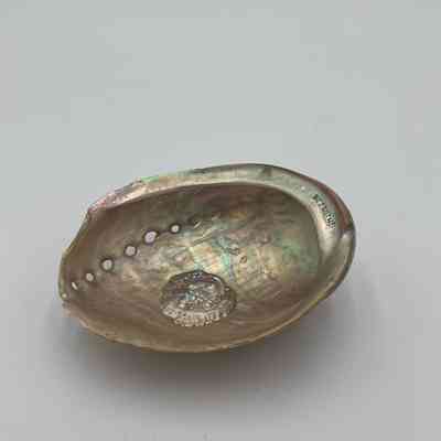 Unknown Shell