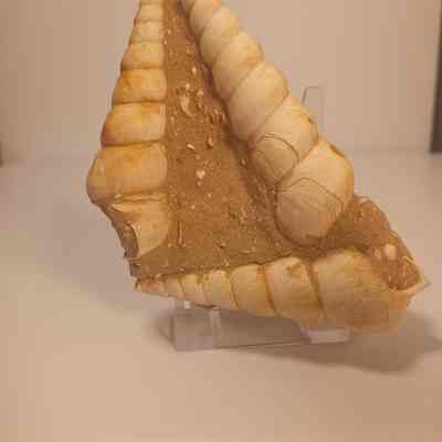 Sigmesalia variabilis