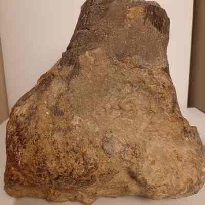 Unknown sauropod limb bone