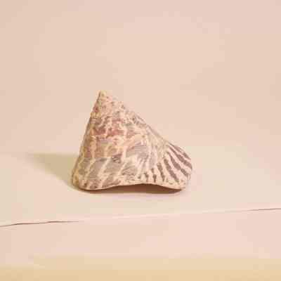 Cone top shell