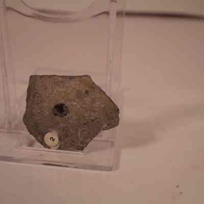 Acrothele subsidua