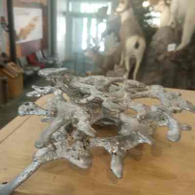 Cast of anthill